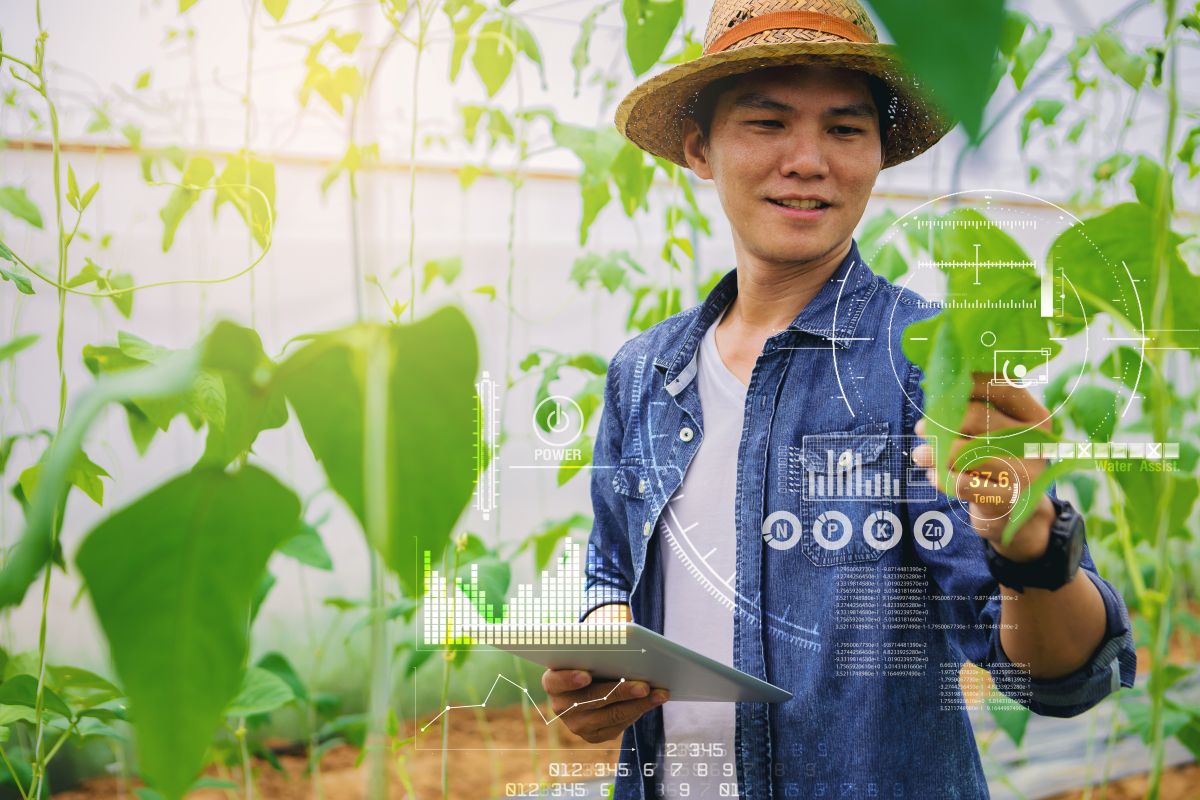 Agricultor, proprietário de uma fazenda, usa um touchpad para verificar a qualidade da plantação de melancia no campo. Conceito de fazenda inteligente do futuro com IoT e gráficos visuais.